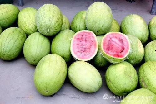 怀仁最近网红大瓜 国内吃瓜爆料黑料 暗黑爆料最新视频更新,揭秘最新暗黑爆料视频内幕